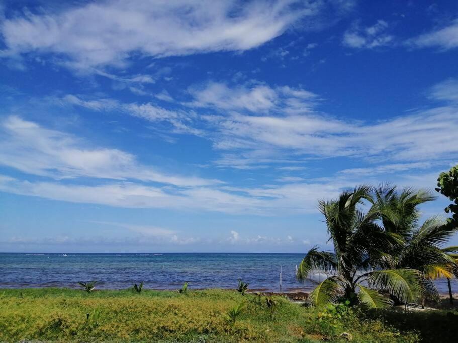 Photo of Others in Mahahual