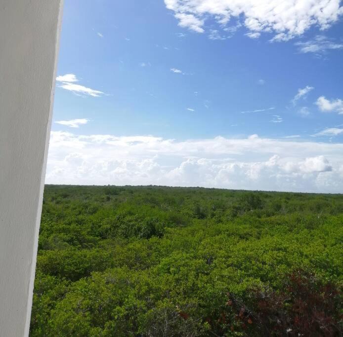 Photo of Others in Mahahual