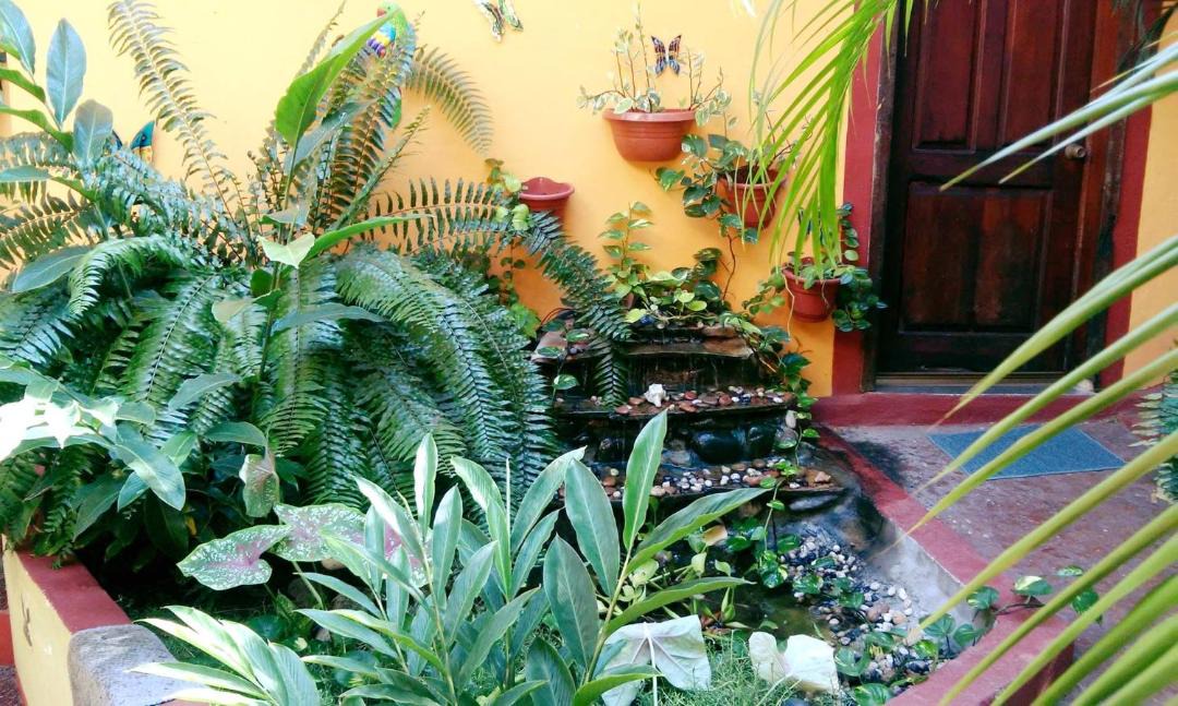 Photo of Others in Puerto Angel