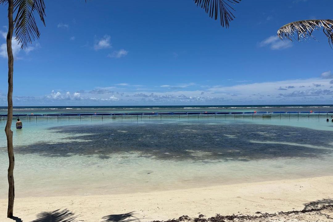 Photo of Others in Majahual