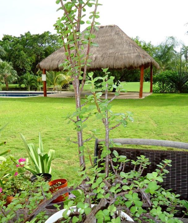 Photo of Others in Puerto Aventuras