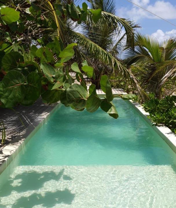 Photo of Others in Mahahual