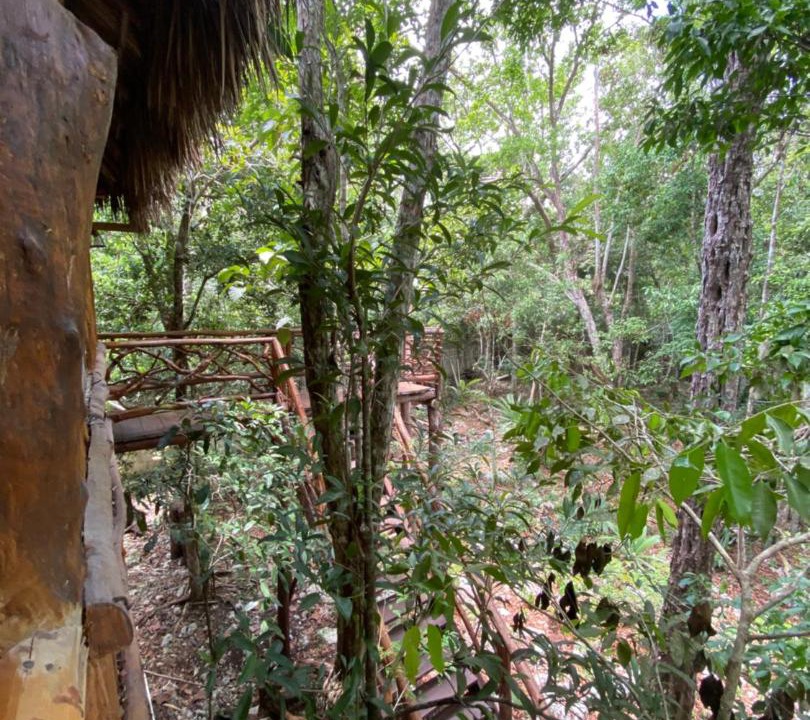 Photo of Others in Tulum
