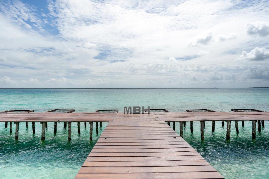 Photo of Others in Bacalar
