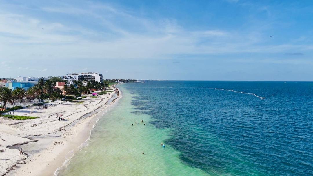 Photo of Others in Puerto Morelos