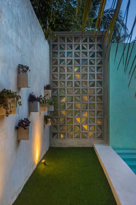 Photo of Patio Balcony in Colonia Adolfo Lopez Mateos