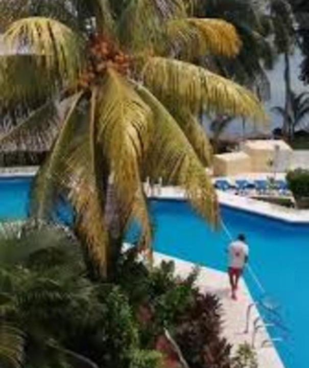 Photo of Others in Punta Cancun