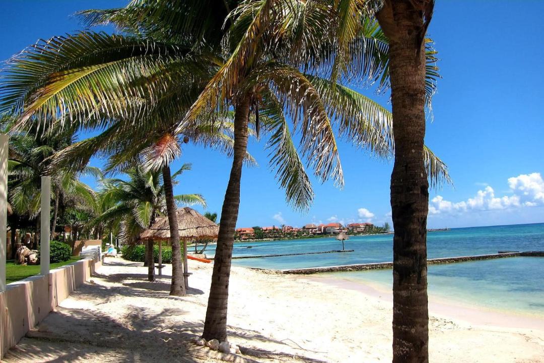 Photo of Others in Puerto Aventuras