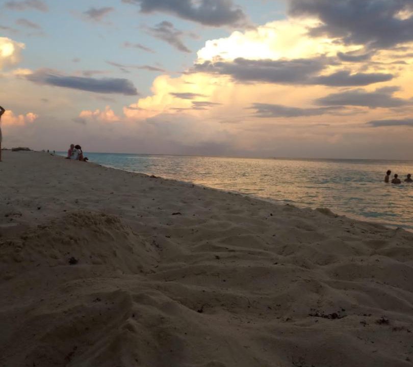 Photo of Others in Playacar Fase I