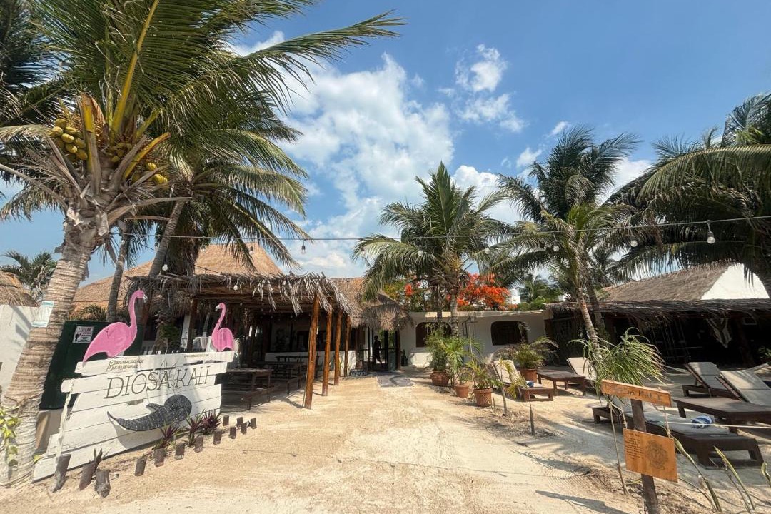 Photo of Others in Isla Holbox