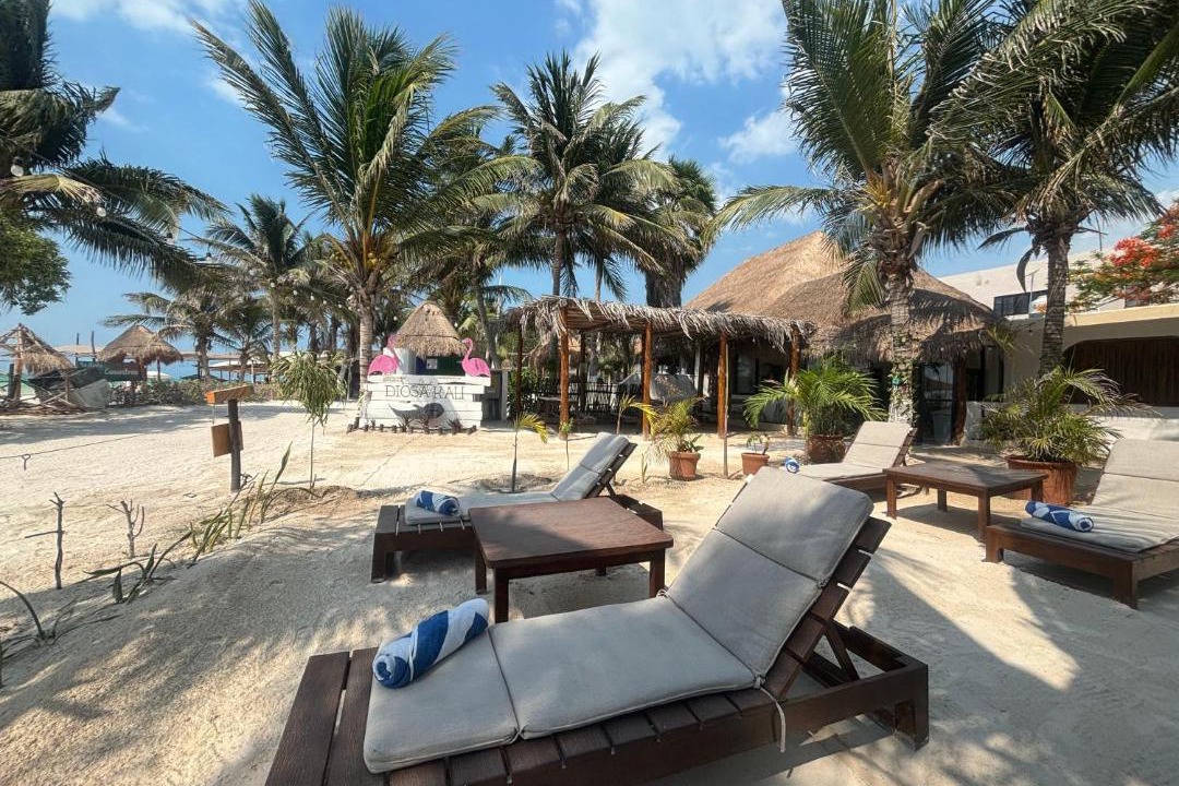 Photo of Others in Isla Holbox