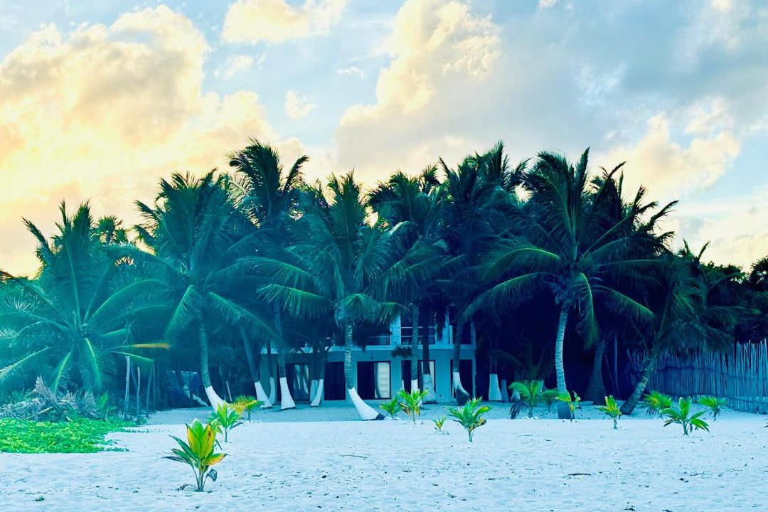 Photo of Others in Majahual
