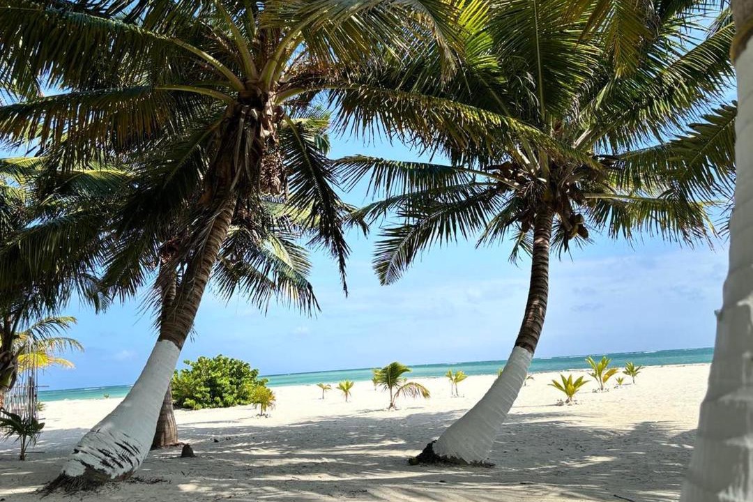 Photo of Others in Majahual