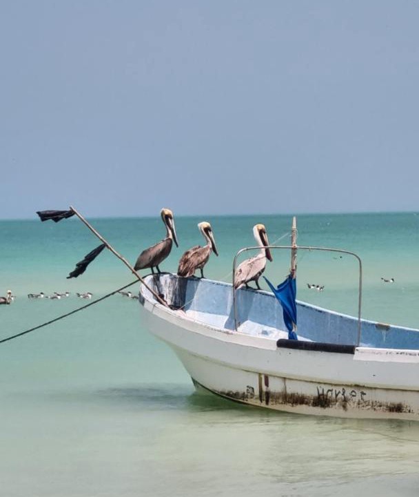Photo of Others in Salina Grande