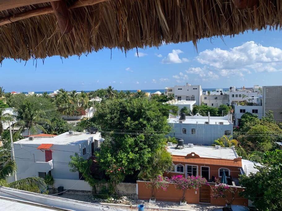 Photo of Others in Puerto Morelos