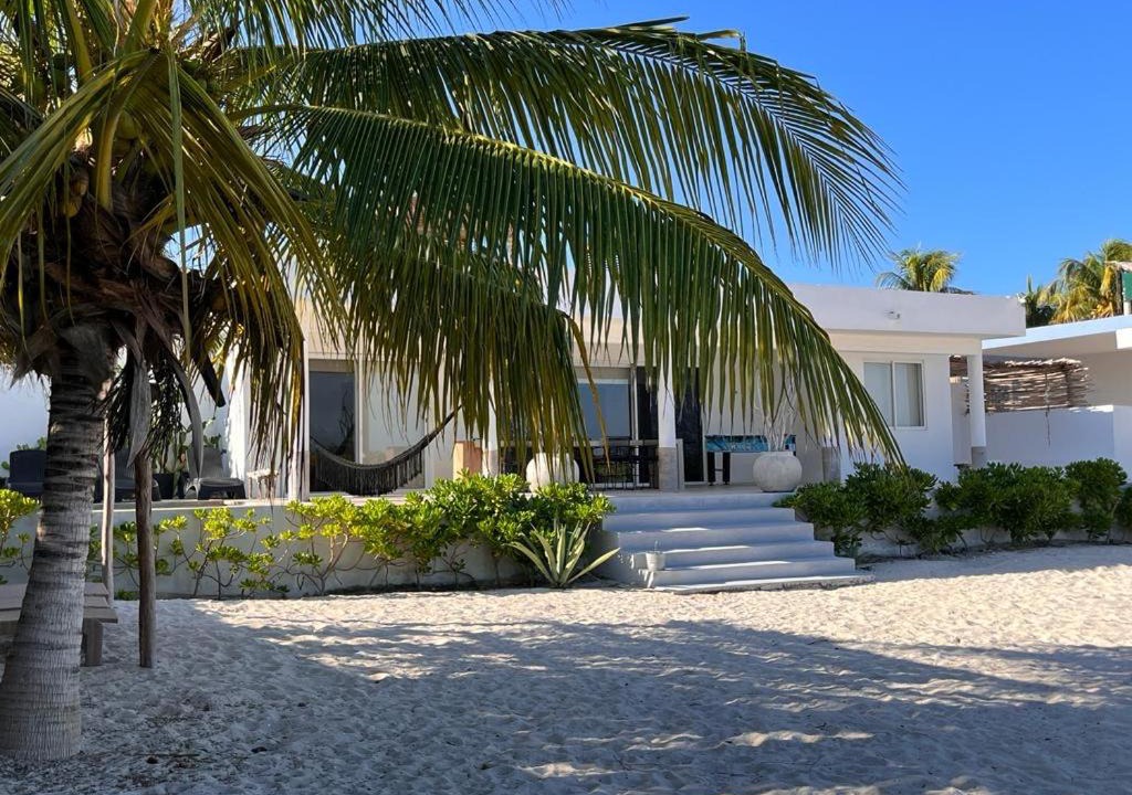 Photo of Others in Sisal