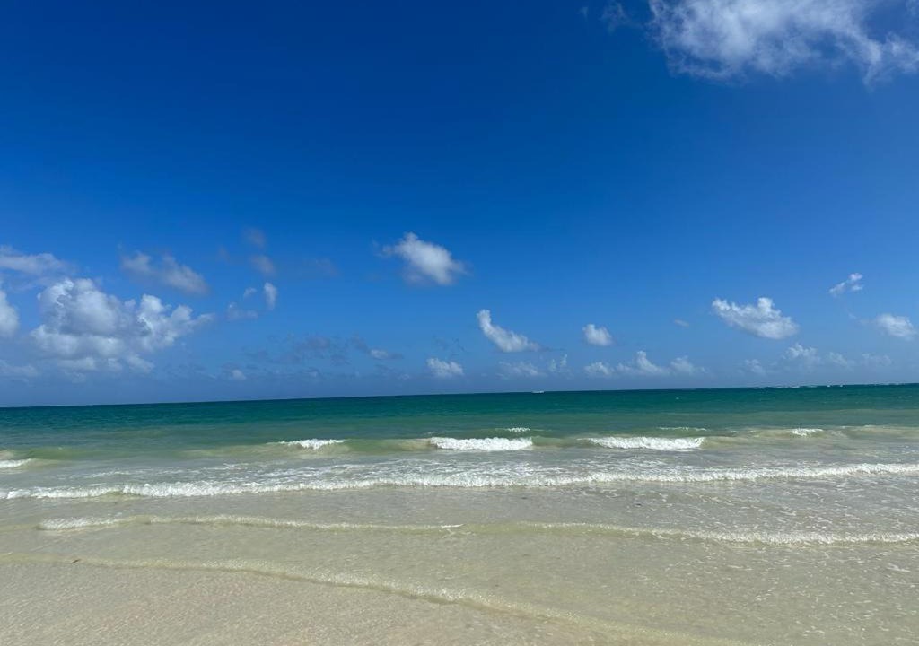 Photo of Outdoor in Chacchoben