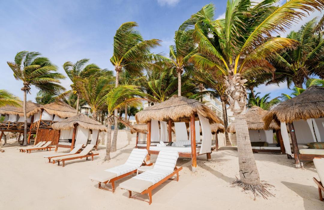 Photo of Others in Puerto Morelos
