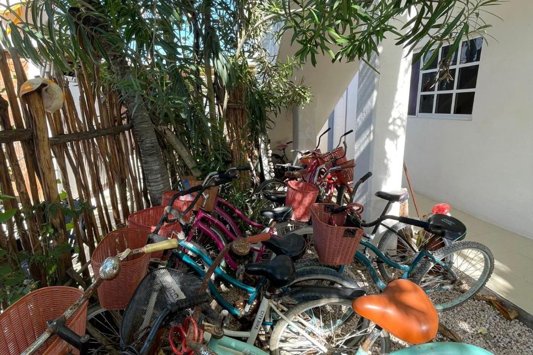 Photo of Others in Downtown Holbox