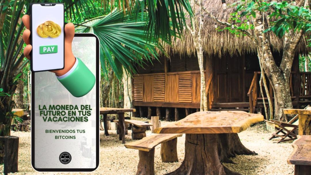 Photo of Others in Puerto Morelos