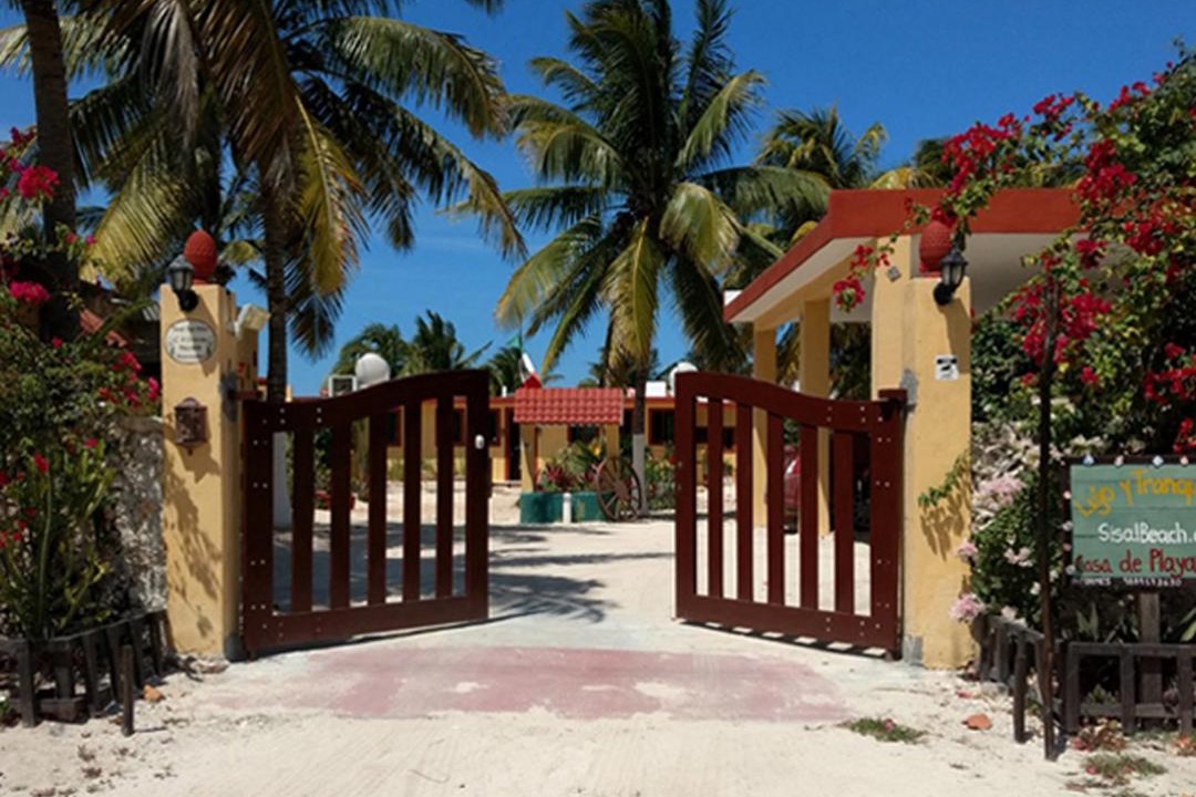 Photo of Others in Sisal