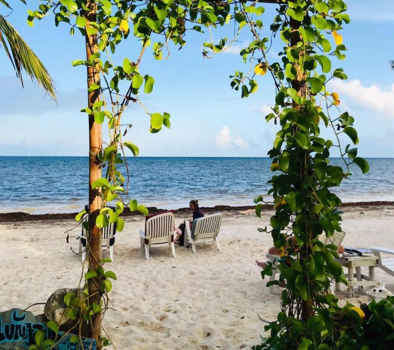 Photo of Others in Mahahual