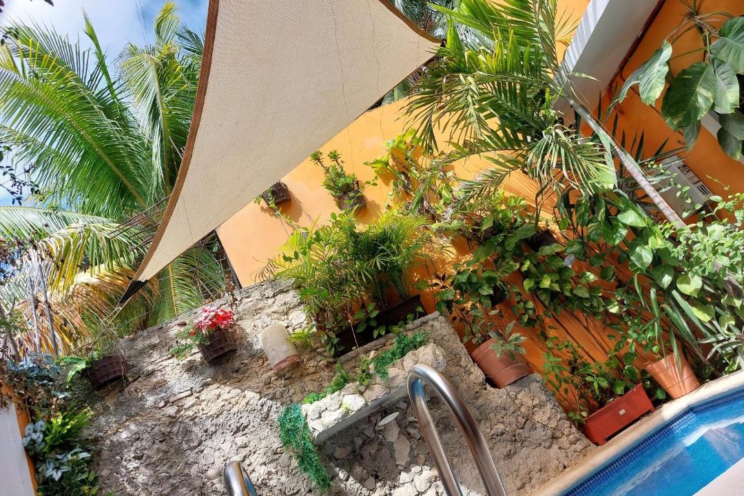 Photo of Outdoor in Colonia Emiliano Zapata