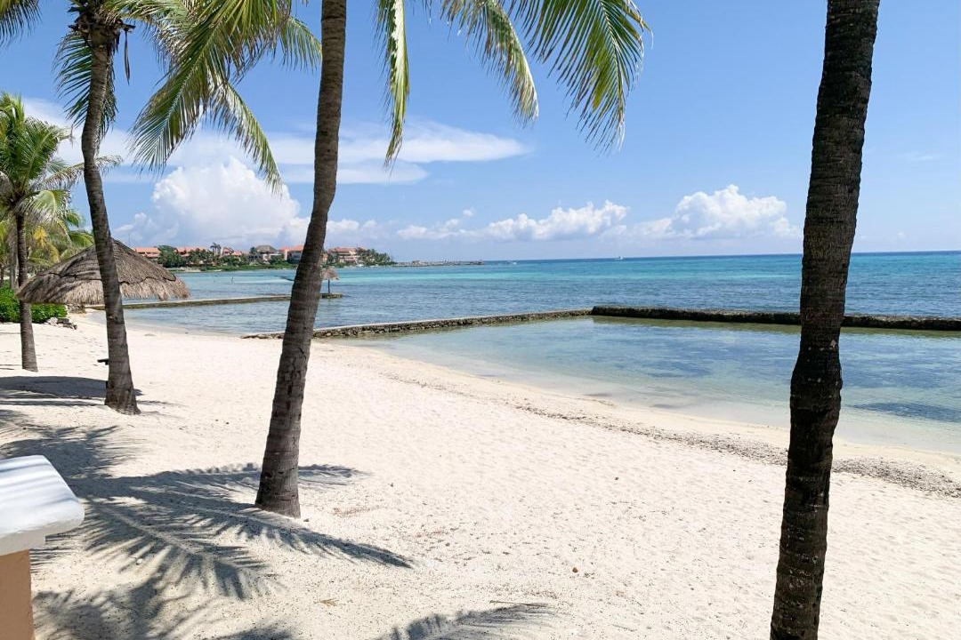 Photo of Others in Puerto Aventuras