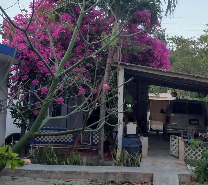 Photo of Others in Punta Allen