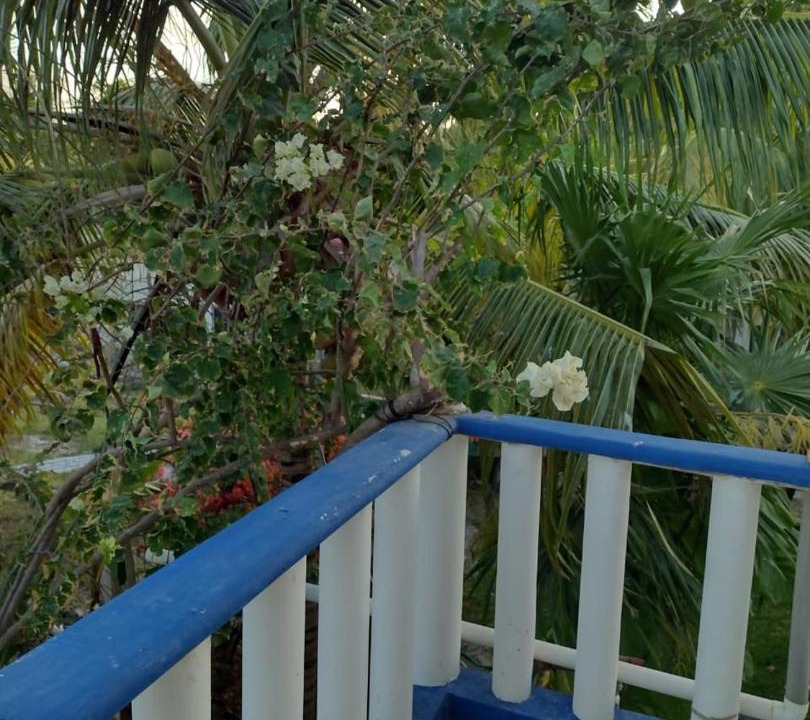 Photo of Others in Punta Allen