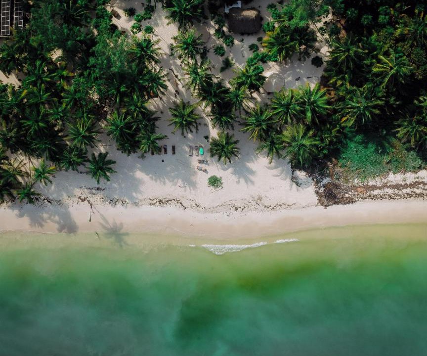Photo of Others in Punta Allen
