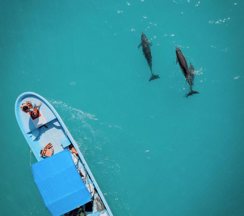 Photo of Others in Punta Allen