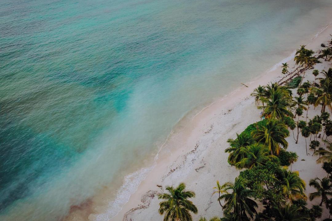 Photo of Others in Punta Allen