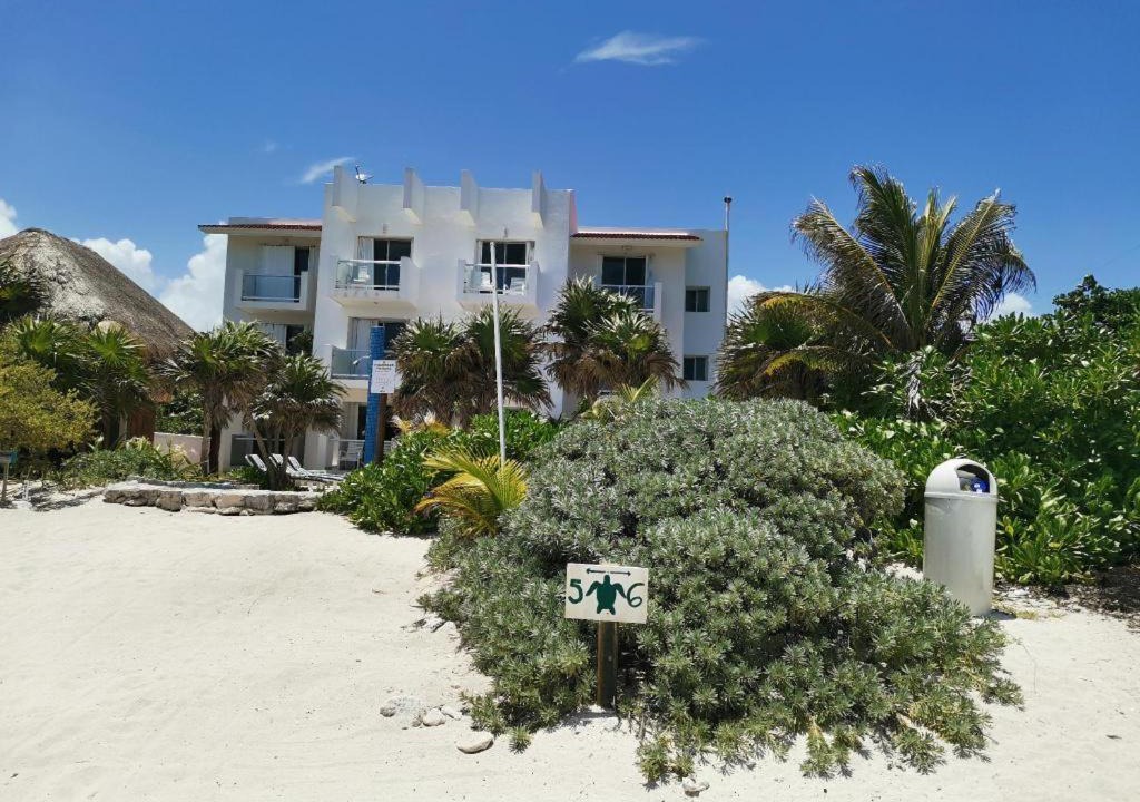 Photo of Others in Akumal