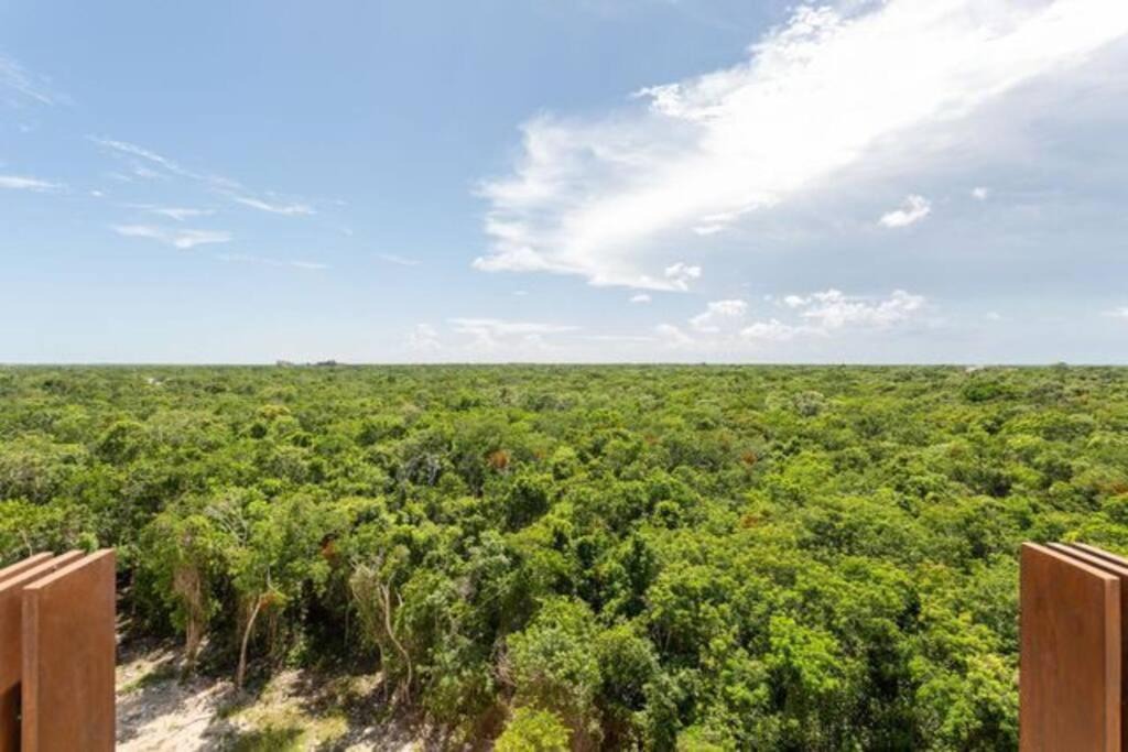 Photo of Others in Tulum