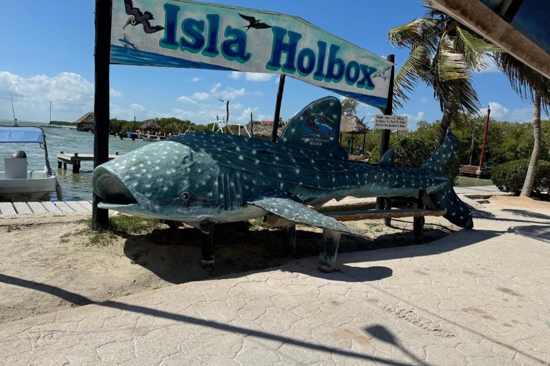 Photo of Others in Isla Holbox