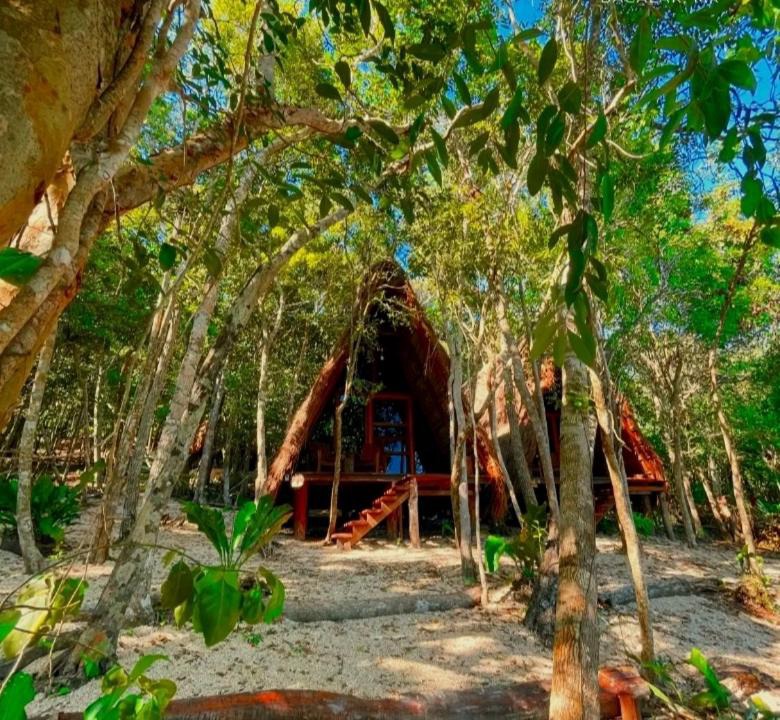Photo of Others in Bacalar