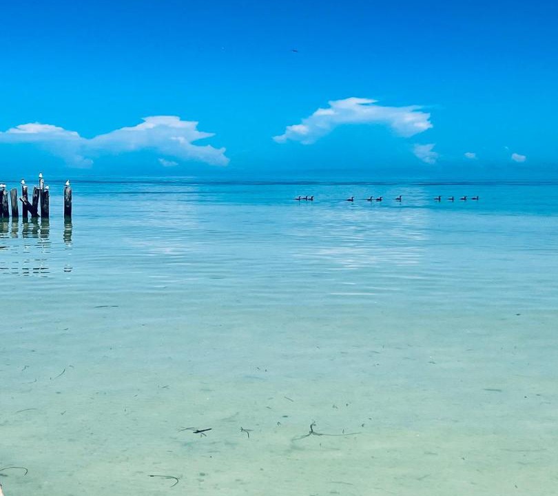 Photo of Others in Isla Holbox