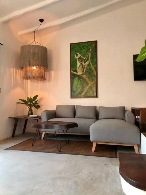 Photo of Livingroom in Majahual