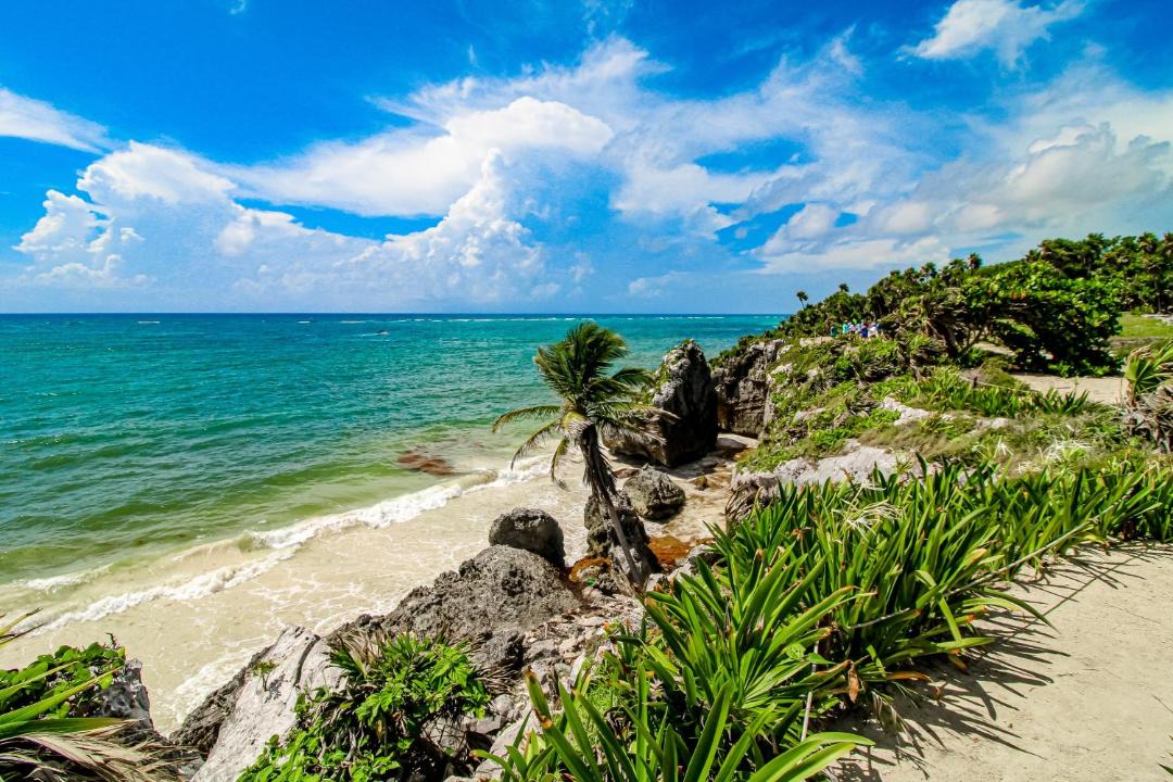 Photo of Others in Akumal