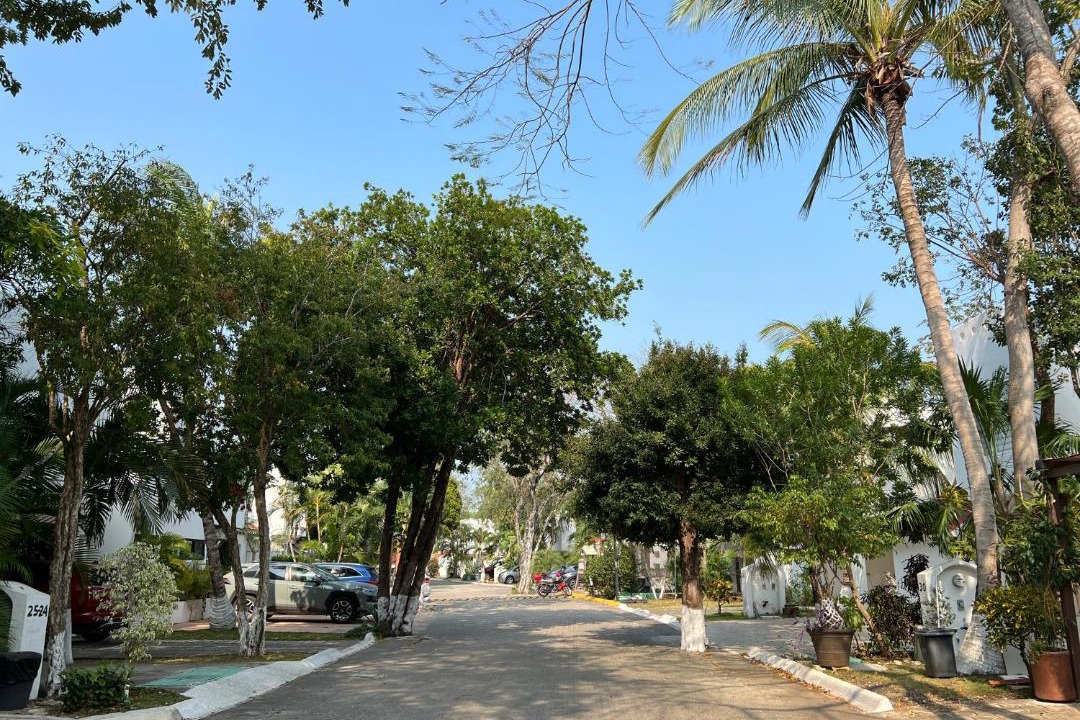 Photo of Outdoor in Playacar