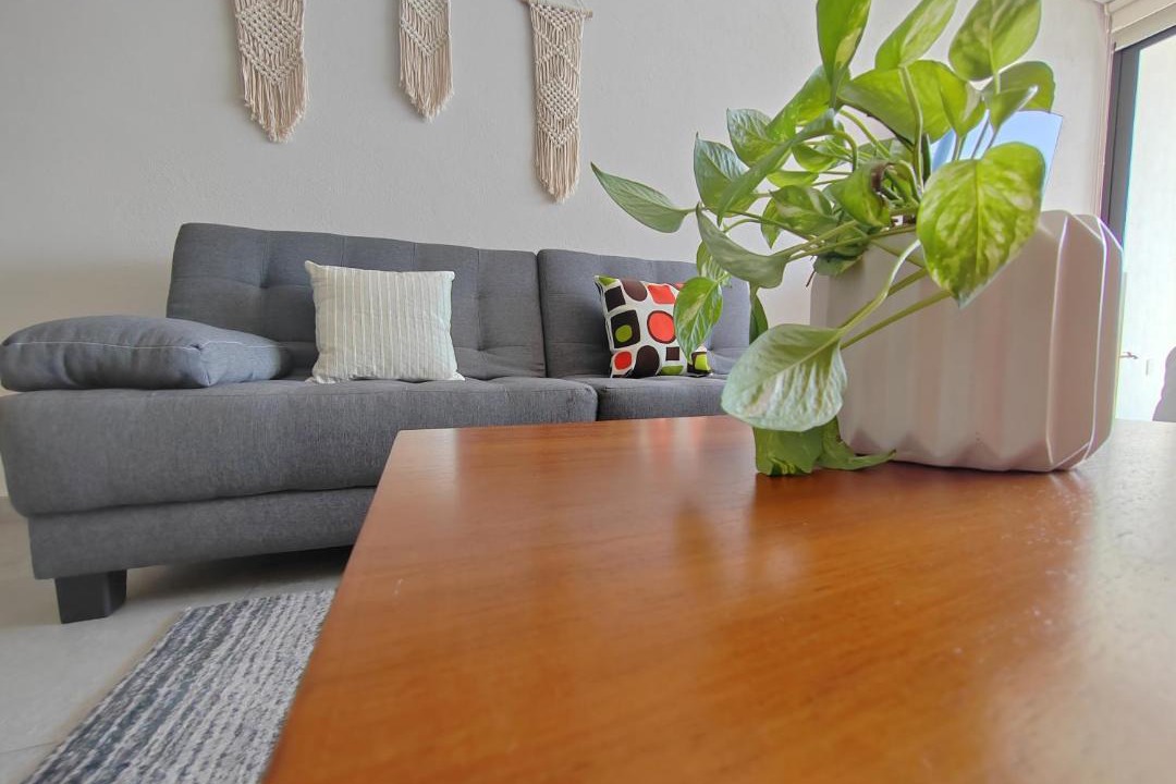 Photo of Livingroom in Luis Donaldo Colosio