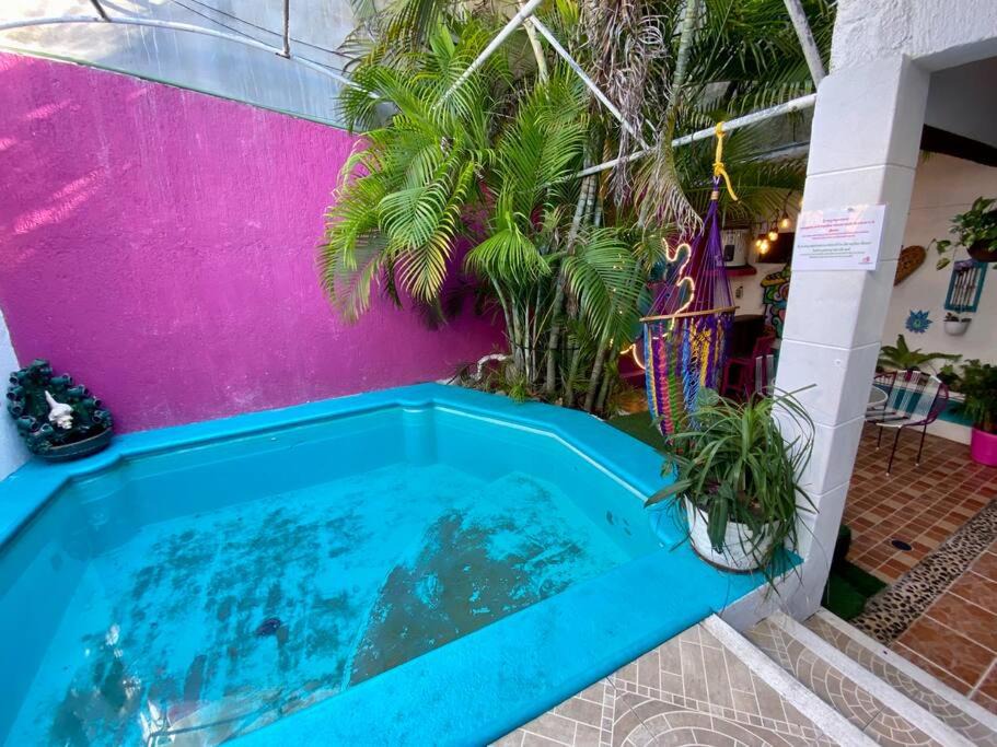 Photo of Outdoor in Isla Mujeres