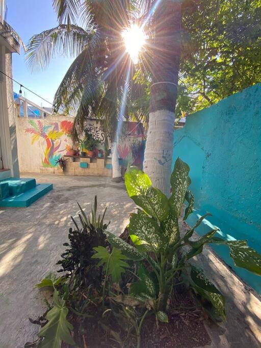 Photo of Outdoor in Isla Mujeres
