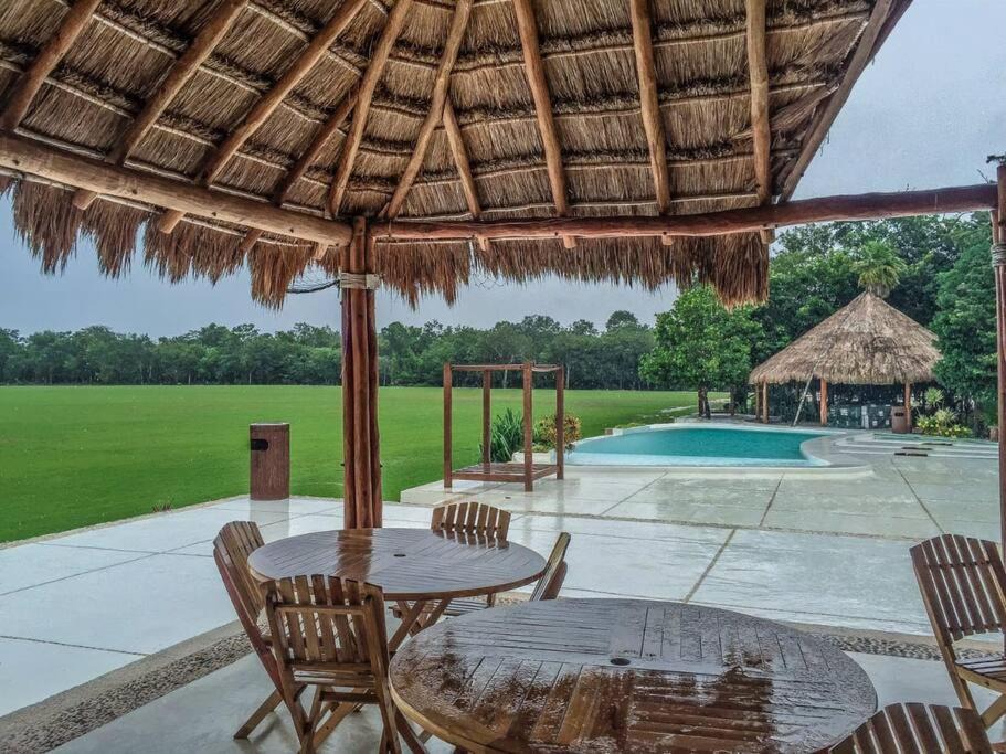 Photo of Others in Puerto Morelos