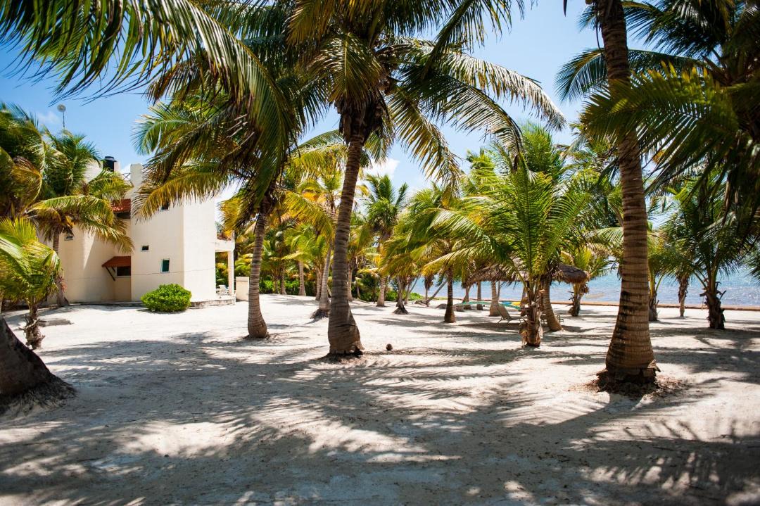 Photo of Others in Majahual