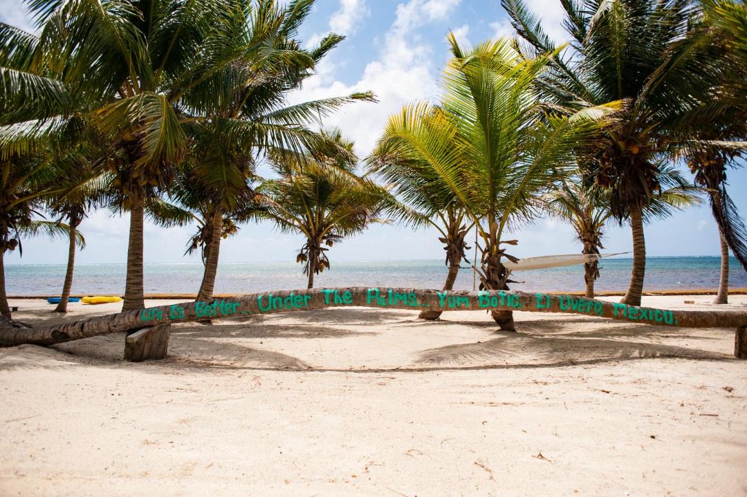 Photo of Outdoor in Majahual