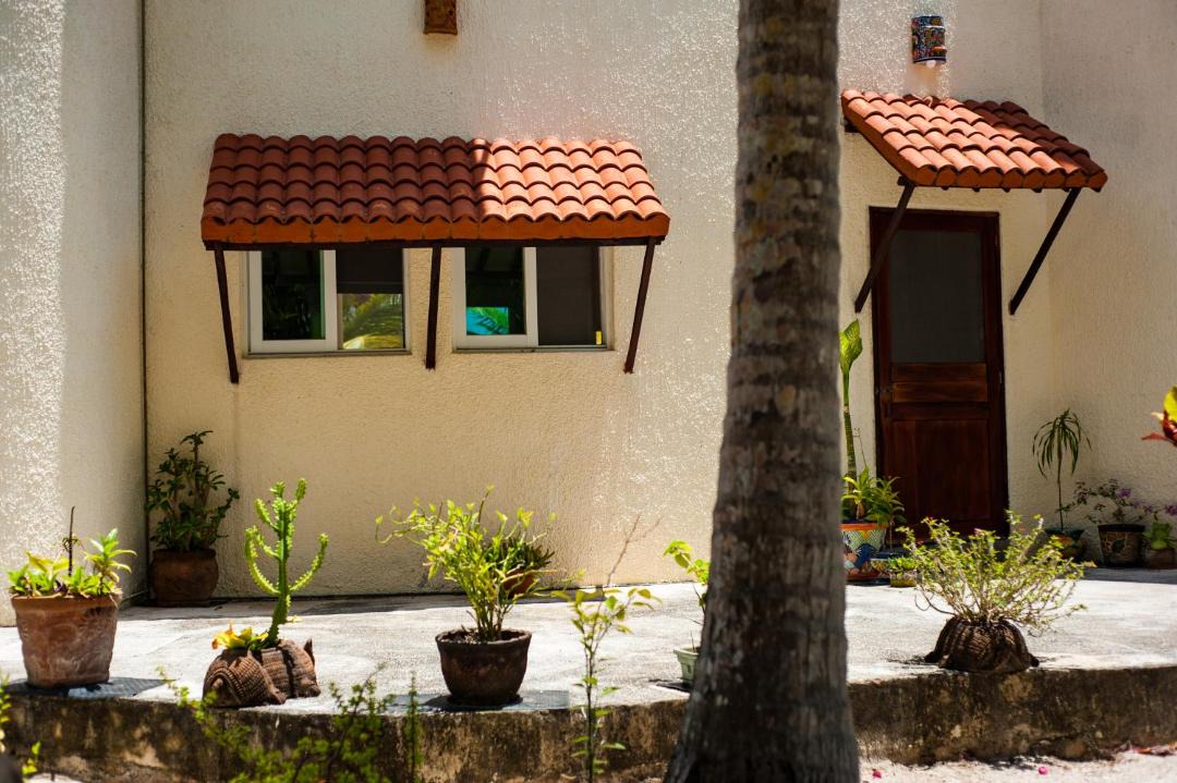 Photo of Buildings in Majahual