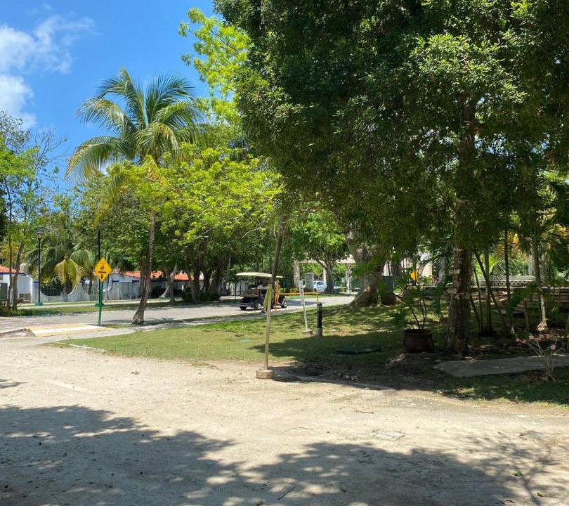 Photo of Others in Playacar