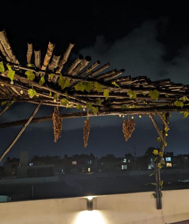 Photo of Others in Cancun